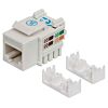 Intellinet Keystone Jack, Cat6, UTP, Punch-down, White