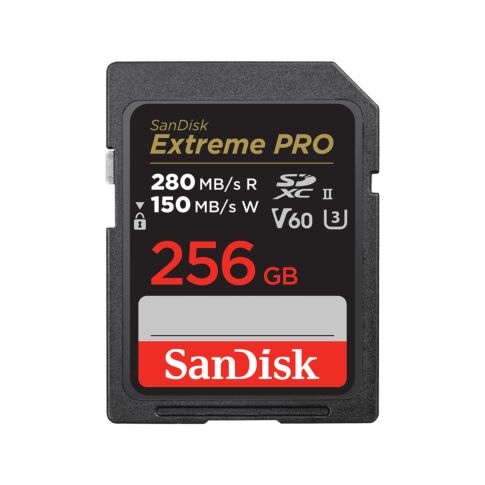 SanDisk SDSDXEP-256G-GN4IN flashgeheugen 256 GB SDXC UHS-II Klasse 10 Zwart