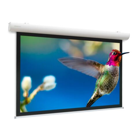 Da-Lite Elpro Concept projection screen 4.37 m (172 inch) 16:10