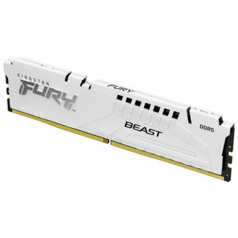 Kingston Technology FURY Beast geheugenmodule 16 GB 1 x 16 GB DDR5